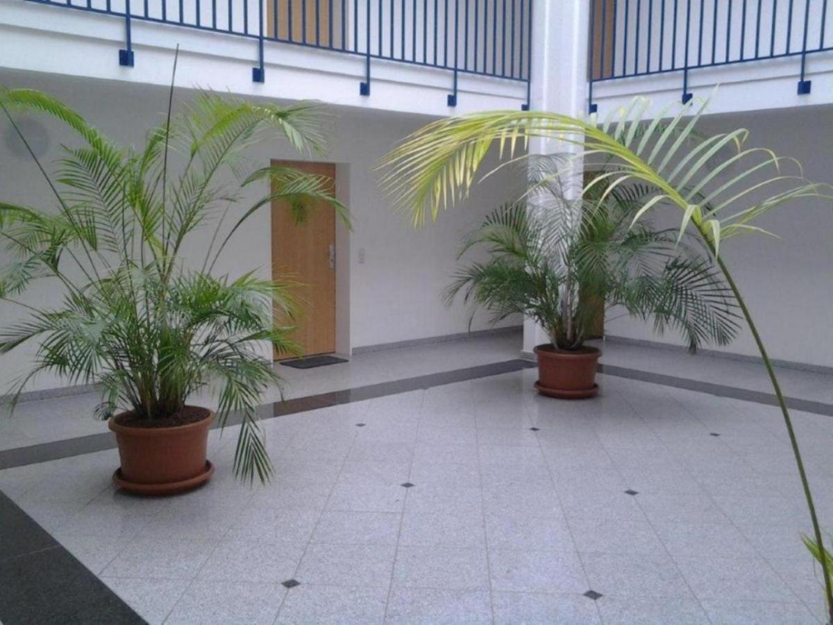Residenz am Strand Wohnung 2-43 Ostseeheilbad Ostseeheilbad Zingst Exterior foto
